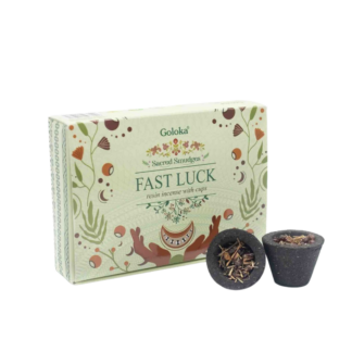 Sacred Smudges – Fast Luck (resin incense with cups)
